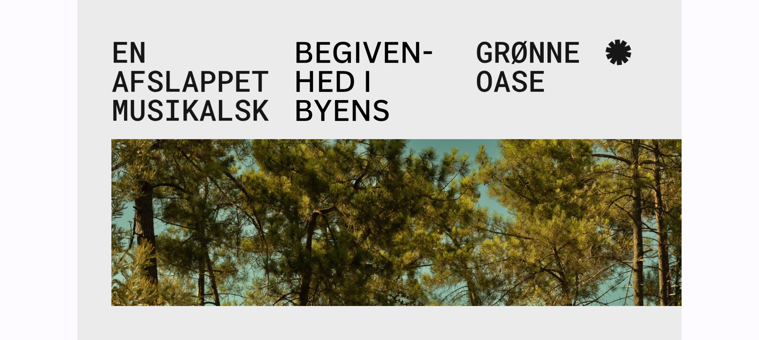 Image for intimate concert in Ørstedsparken