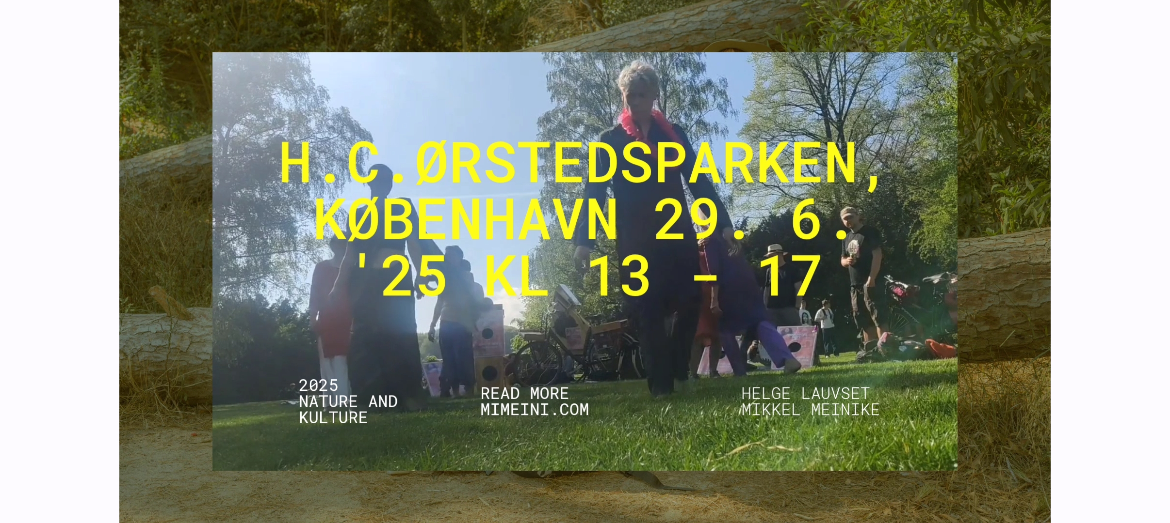 Image for intimate concert in Ørstedsparken